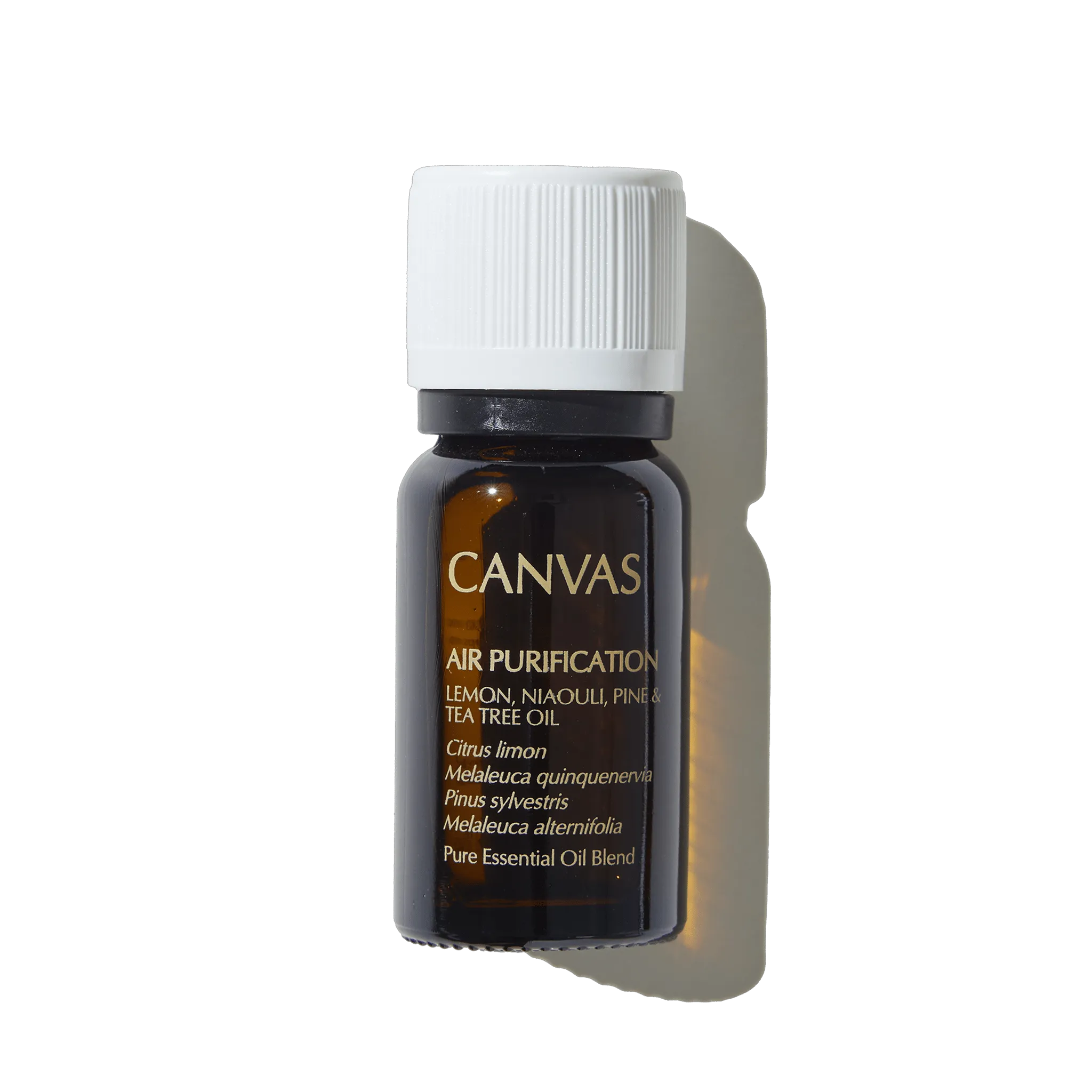 12ml