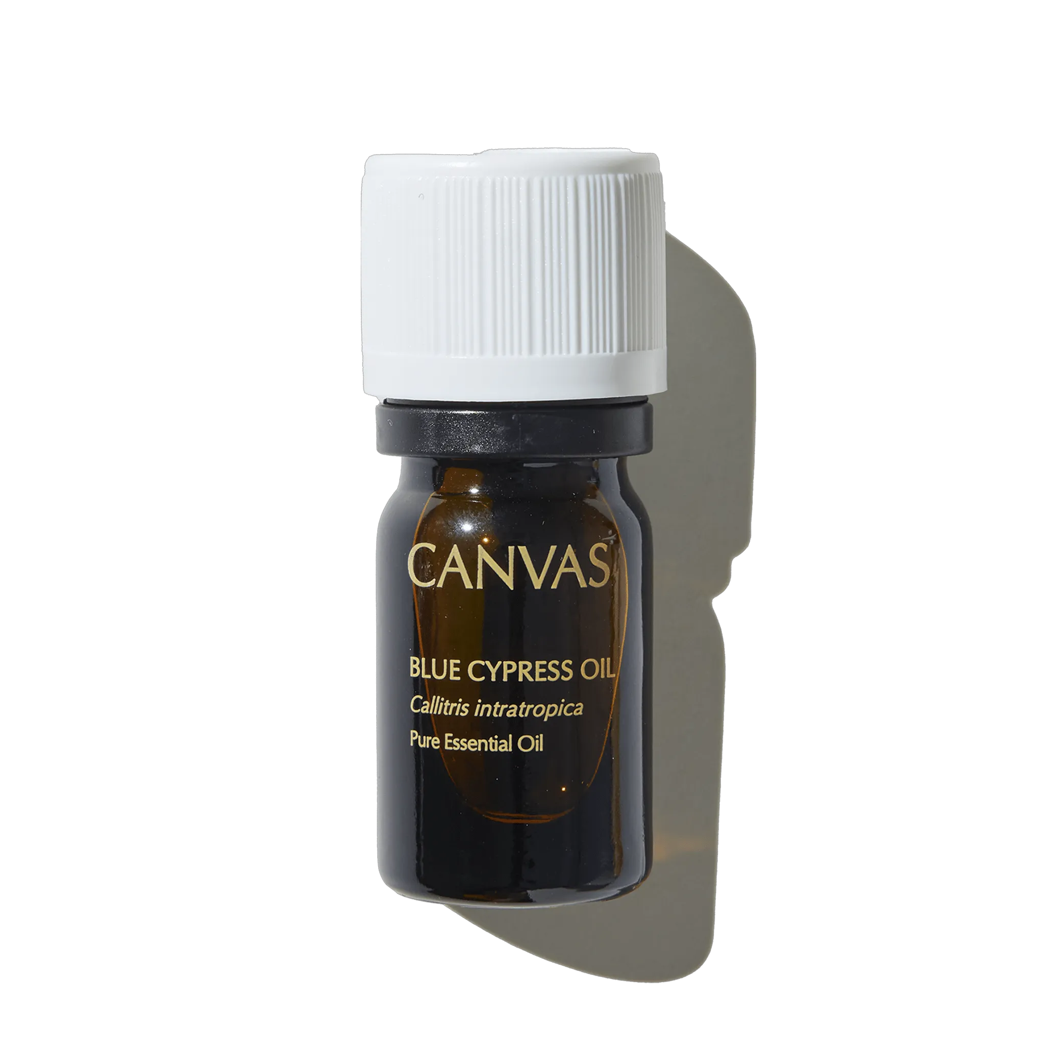 5ml